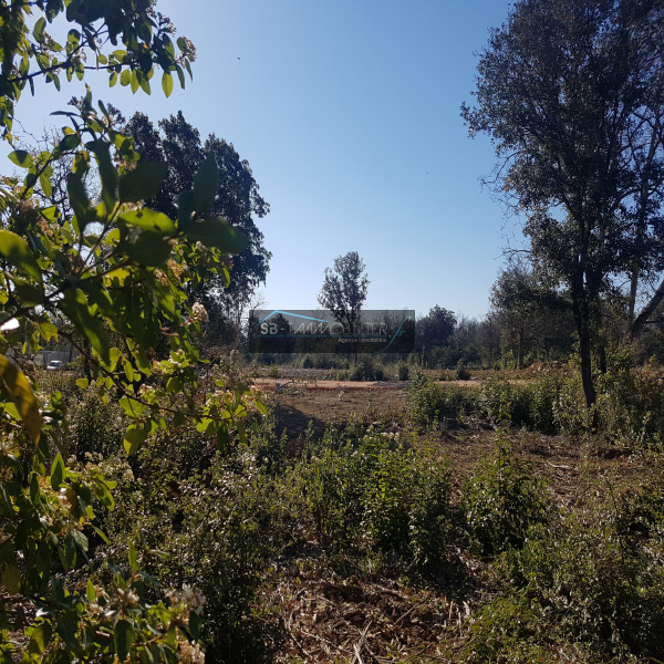 Offres de vente Terrain Deaux 30360